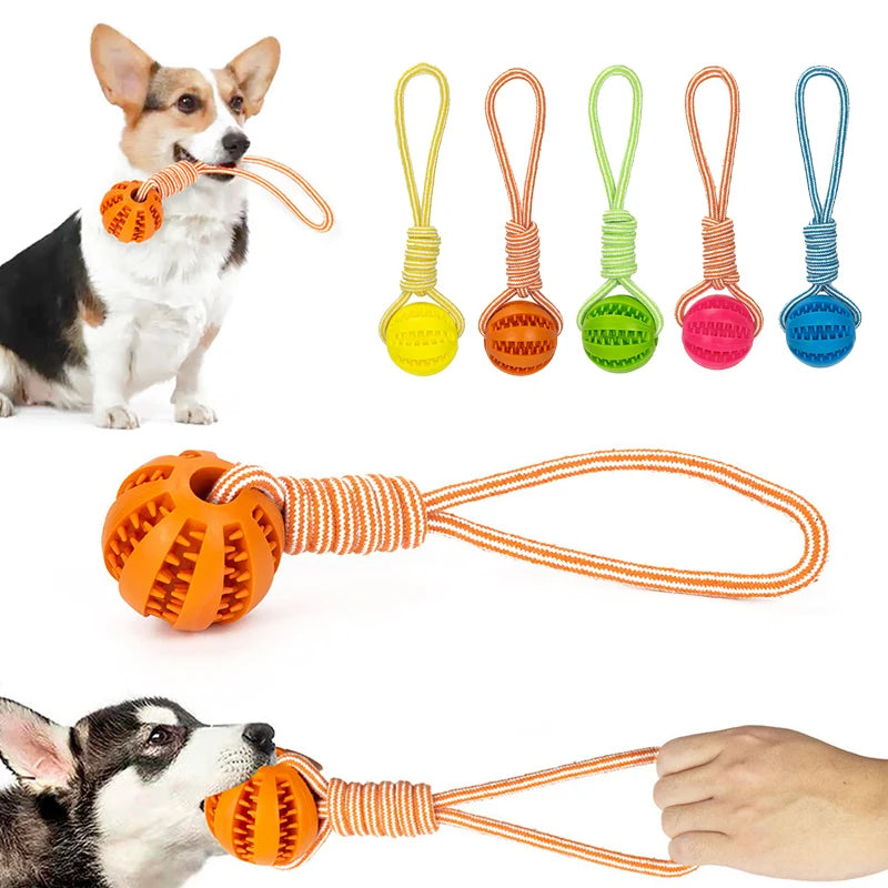 Brinquedo para cães - IdealShop