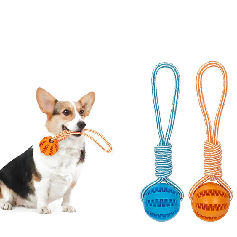 Brinquedo para cães - IdealShop